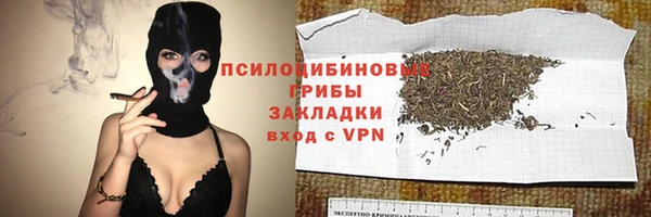 ECSTASY Абаза