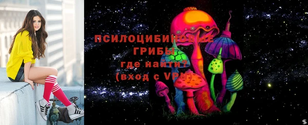 ECSTASY Абаза
